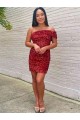 Short One Shoulder Sleeveless Velvet Sequin Cocktail Homecoming Dress / Prom Dress